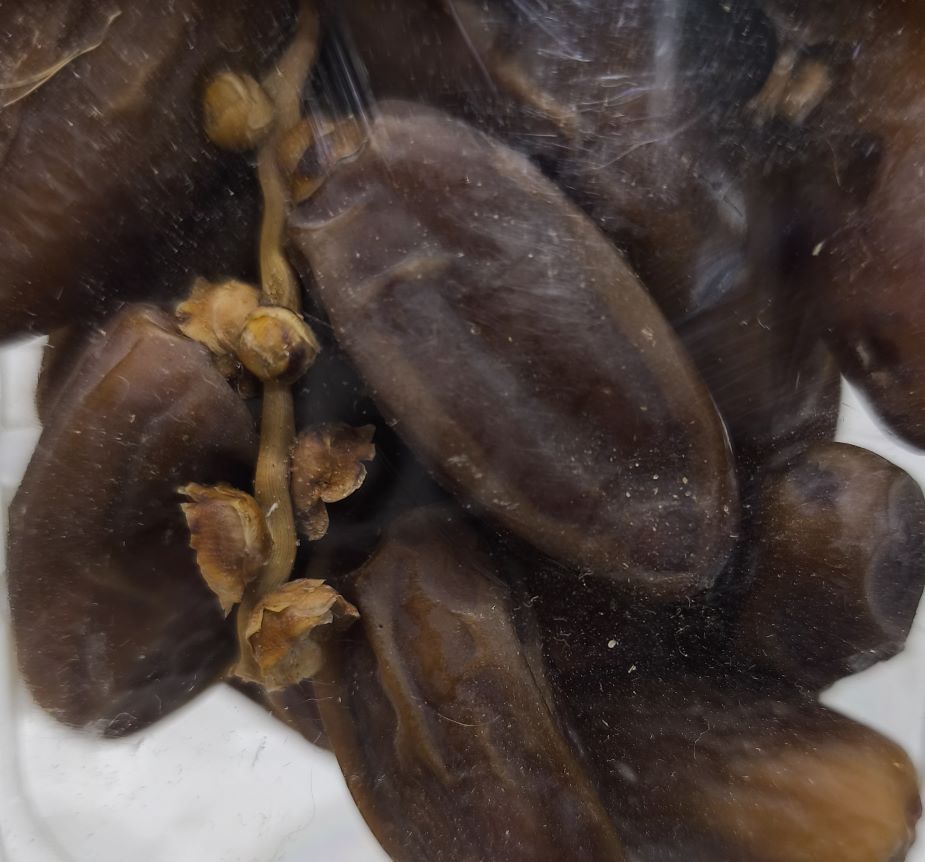 Curmale Naturale Deglet Crenguta Tunisia - imagine 3