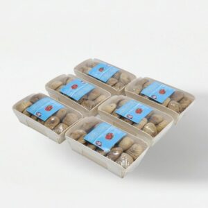 Smochine Protoben Nr.4 Turcia