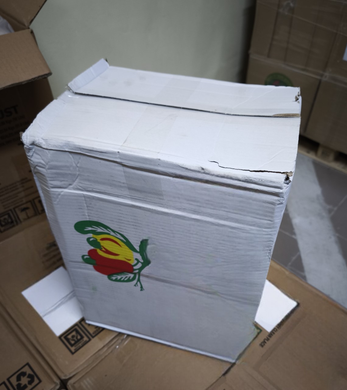 Nuci Caju Jumatati Vietnam - imagine 4