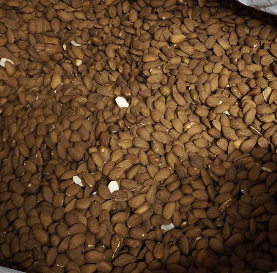 Migdale Lauranne 12/14 Spania - imagine 2