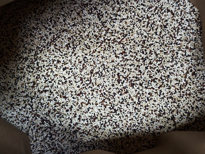 Quinoa Tricolor Peru - imagine 3