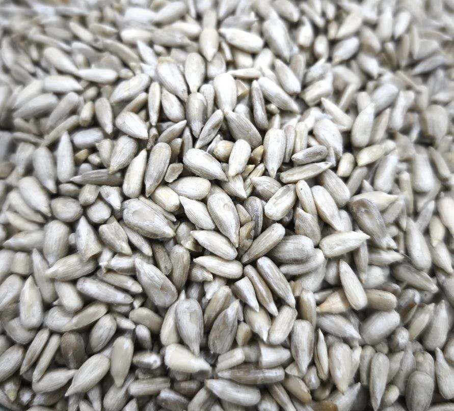 miez floare soarelui Moldova - imagine 2