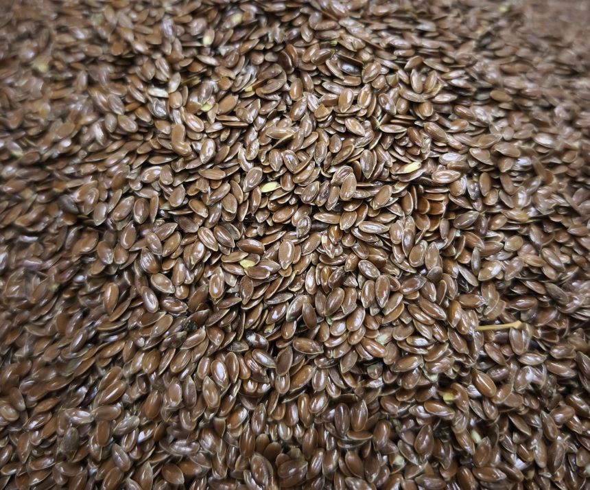 Seminte de In Moldova - imagine 2